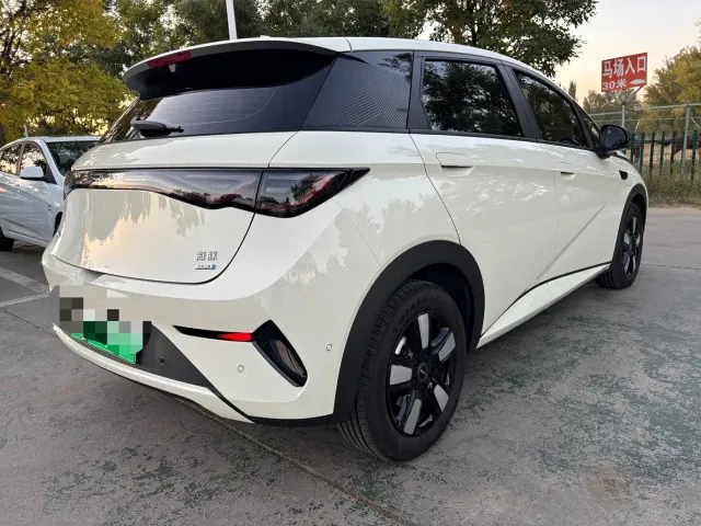 BYD Dolphin — Фото автомобиля 13