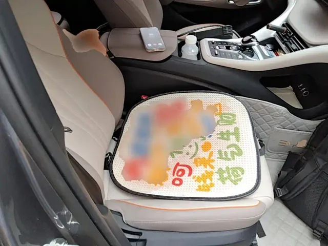 BYD Song Pro — Фото автомобиля 24