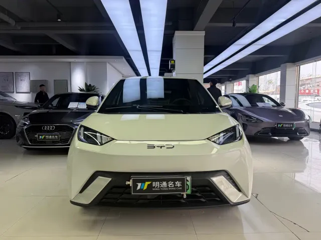 BYD Seagull — Фото автомобиля 2