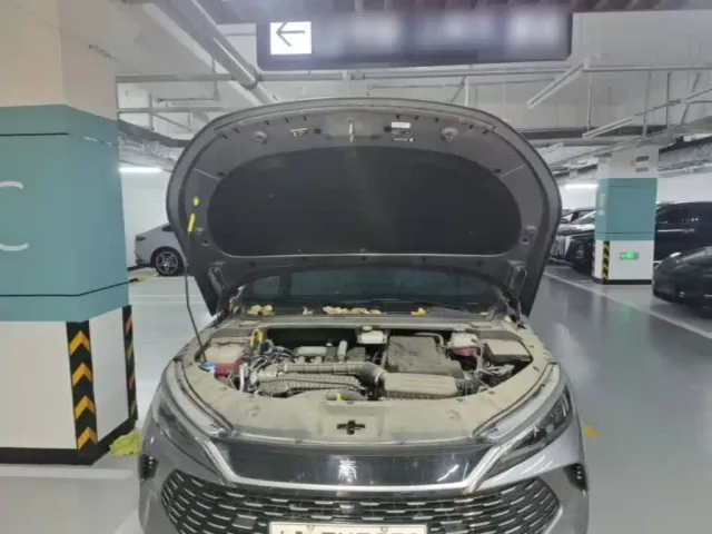 BYD Qin L — Фото автомобиля 19