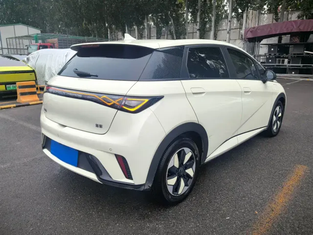 BYD Dolphin — Фото автомобиля 3