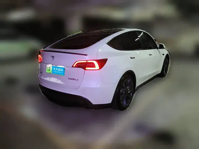 Tesla Model Y — Фото автомобиля 2