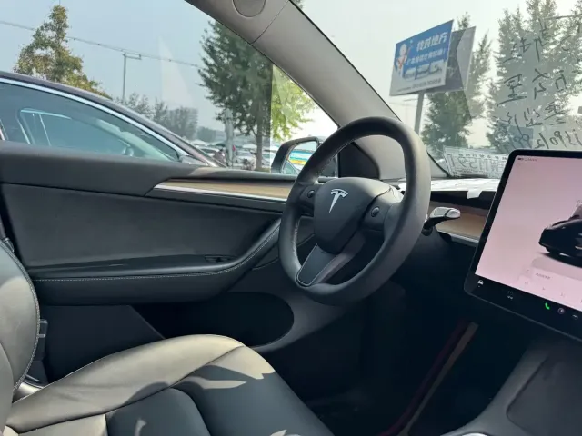Tesla Model Y — Фото автомобиля 11