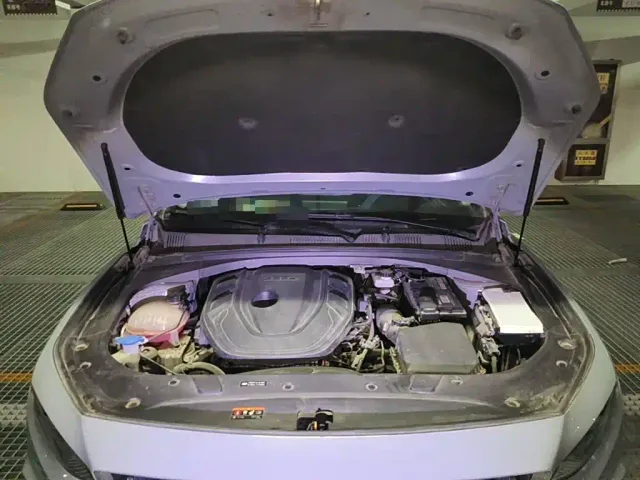Geely Xing Rui 2023 2.0TD Premium Model — Фото автомобиля 3