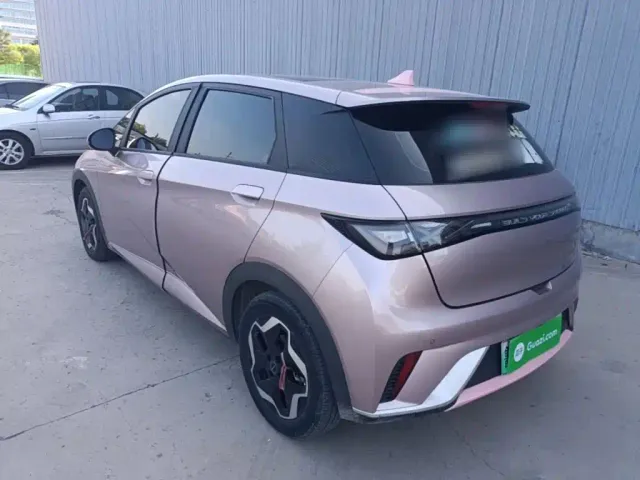 BYD Dolphin — Фото автомобиля 4
