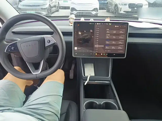 Tesla Model Y — Фото автомобиля 9
