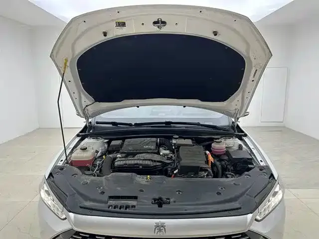 BYD Qin PLUS — Фото автомобиля 15