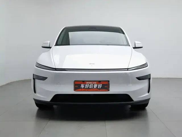 Tesla Model Y — Фото автомобиля 3