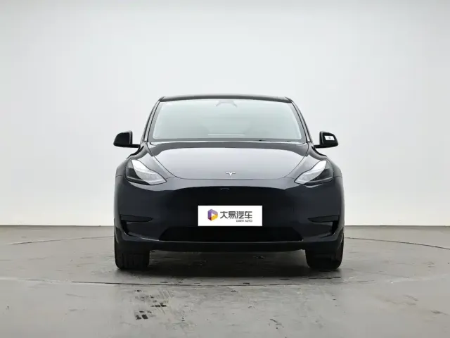 Tesla Model Y — Фото автомобиля 2