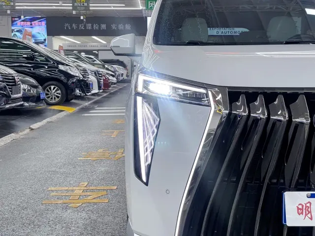 GAC Trumpchi M8 — Фото автомобиля 6