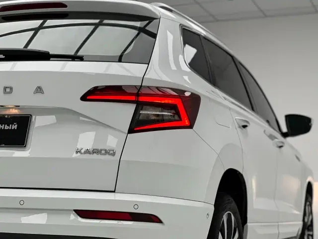 Skoda Karoq — Фото автомобиля 13