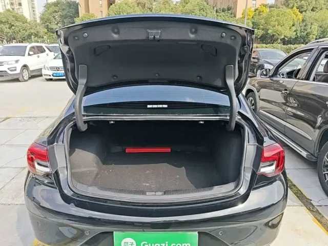 Buick Regal — Фото автомобиля 18
