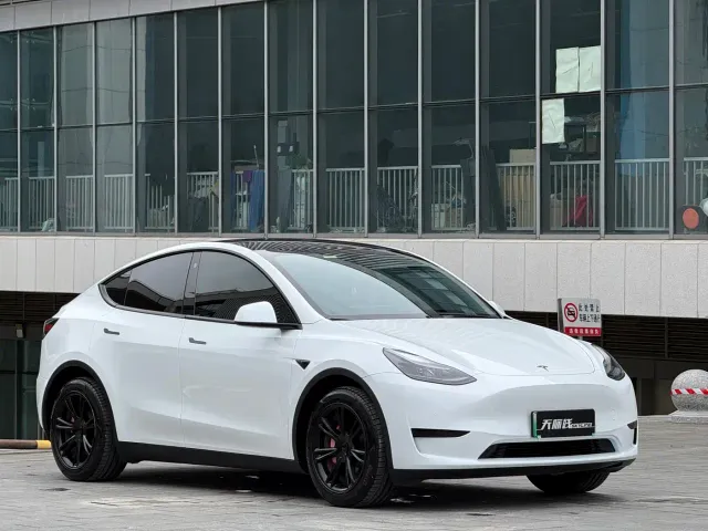 Tesla Model Y — Фото автомобиля 9