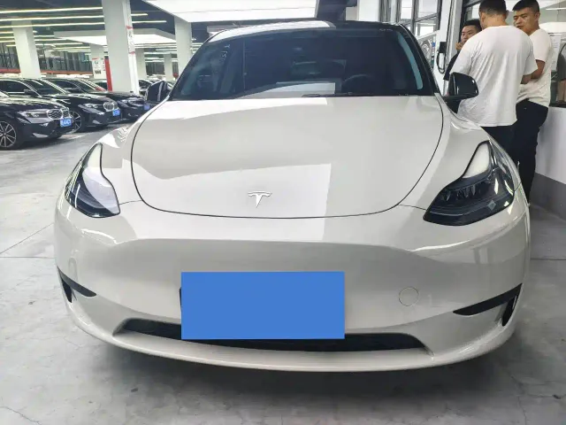 Tesla Model Y — Фото автомобиля 2