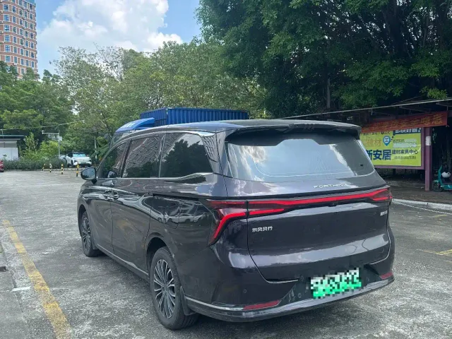 Forthing Xinghai V9 — Фото автомобиля 6