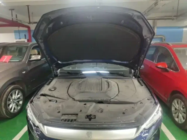 BYD Qin PLUS — Фото автомобиля 19