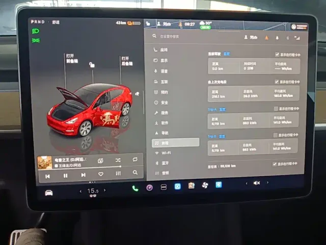 Tesla Model Y — Фото автомобиля 11