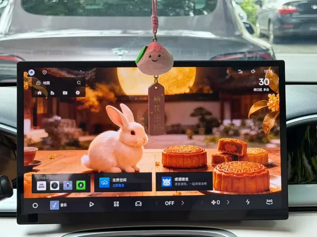 Geely Starry Wish — Фото автомобиля 8