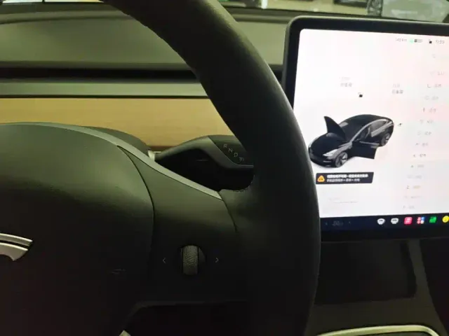 Tesla Model 3 — Фото автомобиля 13