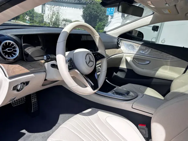 Mercedes-Benz CLS-Class — Фото автомобиля 8
