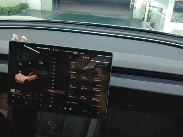 Tesla Model 3 — Фото автомобиля 9