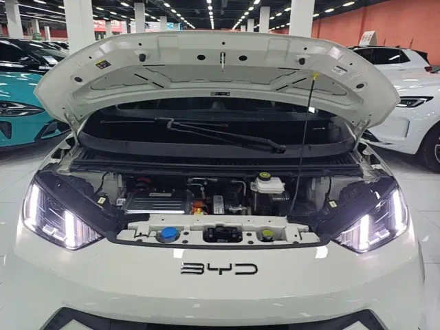 BYD Seagull — Фото автомобиля 19