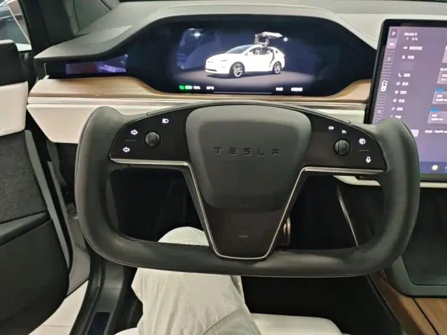 Tesla Model X — Фото автомобиля 10