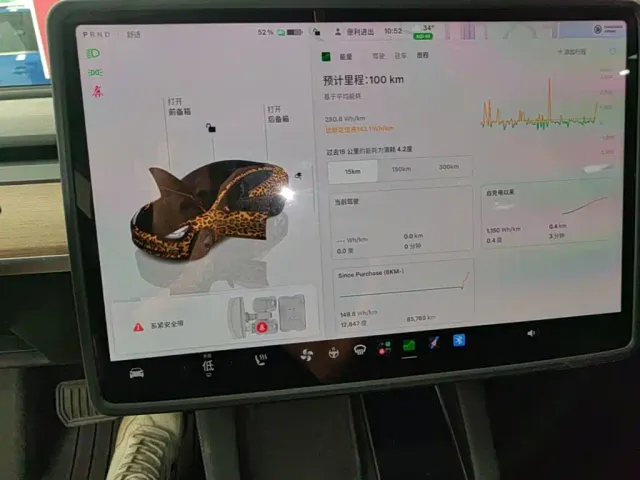 Tesla Model 3 2022 Model Rear-Wheel Drive Version — Фото автомобиля 11