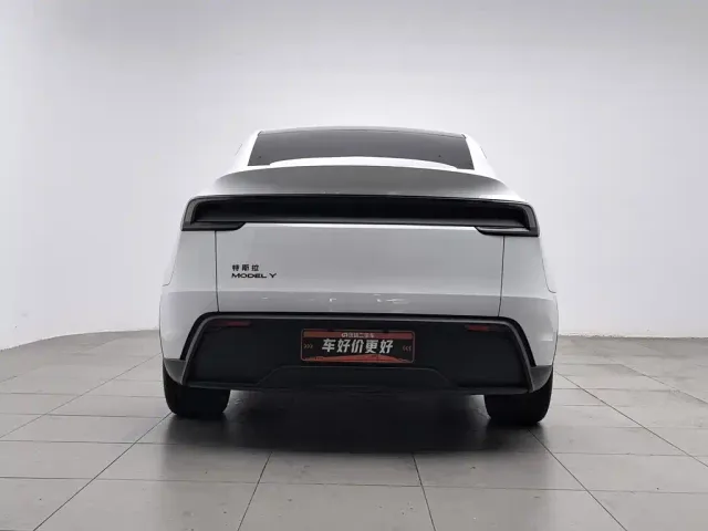 Tesla Model Y — Фото автомобиля 4