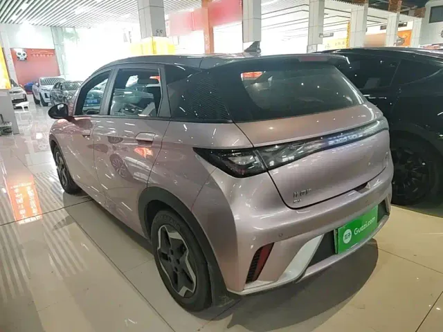 BYD Dolphin — Фото автомобиля 4