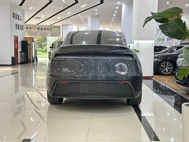 Tesla Model Y — Фото автомобиля 10