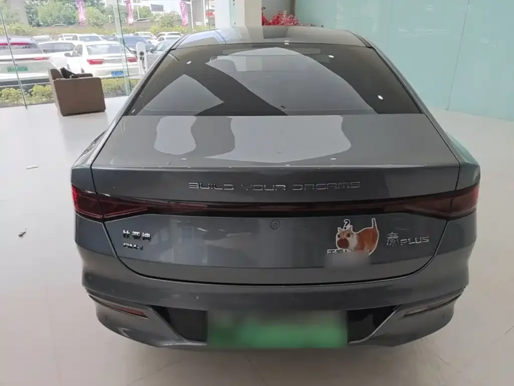 BYD Qin PLUS 2021 DM-i 55KM Premium — Фото автомобиля 5