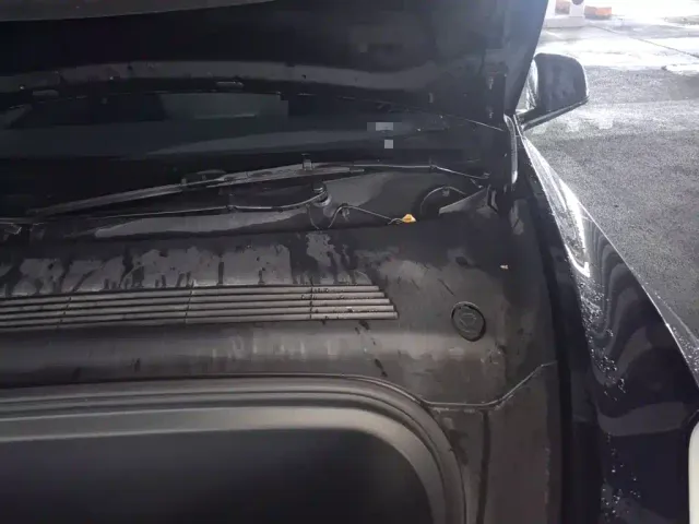Tesla Model Y — Фото автомобиля 21