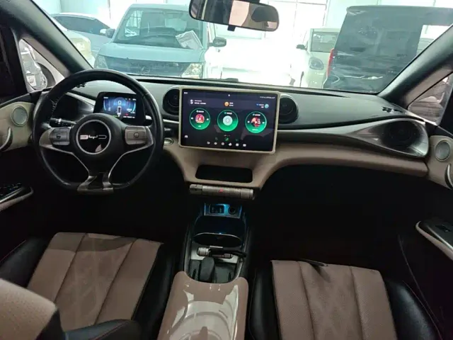 BYD Dolphin — Фото автомобиля 9