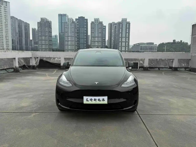 Tesla Model Y — Фото автомобиля 2