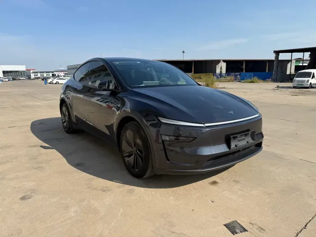 Tesla Model Y — Фото автомобиля 3