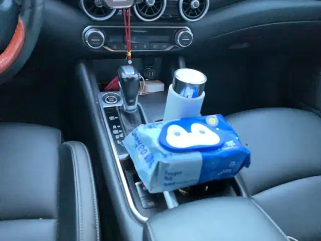 Nissan Sylphy — Фото автомобиля 16