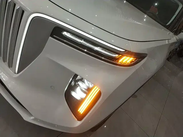 Hongqi E-HS9 — Фото автомобиля 23