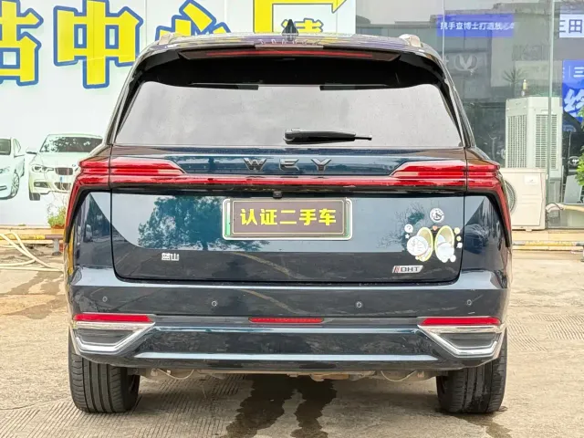 Wey Lanshan — Фото автомобиля 16