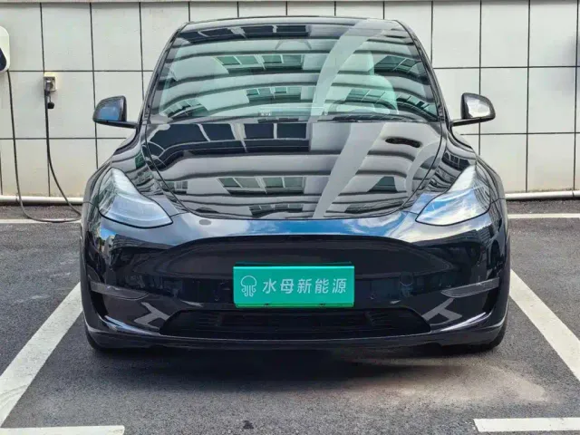 Tesla Model Y — Фото автомобиля 2