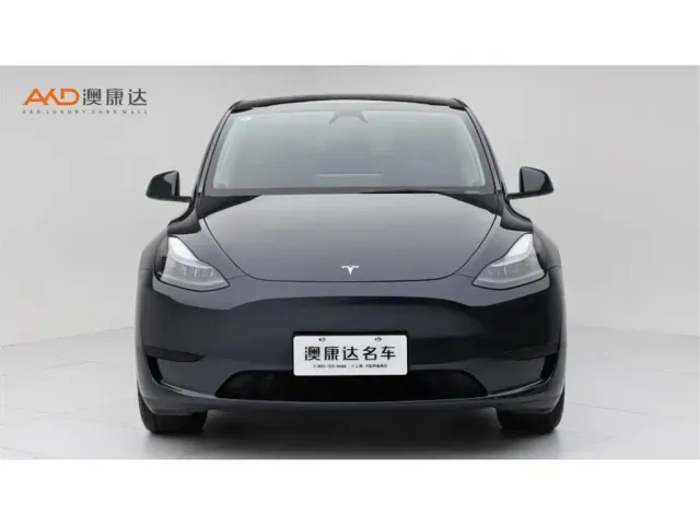 Tesla Model Y — Фото автомобиля 2