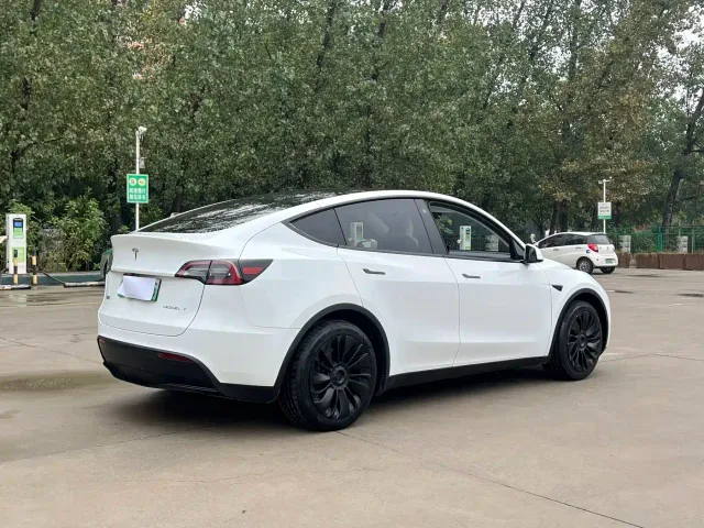 Tesla Model Y — Фото автомобиля 4