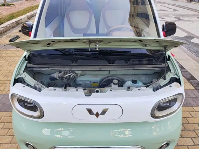 Wuling Hongguang Mini EV — Фото автомобиля 19