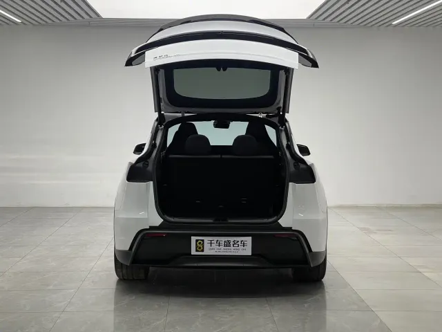 Tesla Model Y L — Фото автомобиля 10
