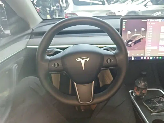 Tesla Model Y — Фото автомобиля 10