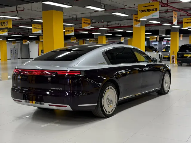 Zunjie Zunjie S800 2025 Model Extended Range Starlight Executive Edition 4-seater — Фото автомобиля 16
