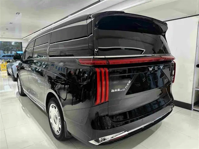 Wey Alpine — Фото автомобиля 18