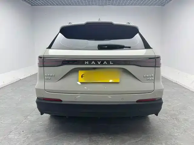 Haval Xiaolong MAX — Фото автомобиля 12