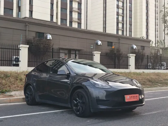 Tesla Model Y — Фото автомобиля 3