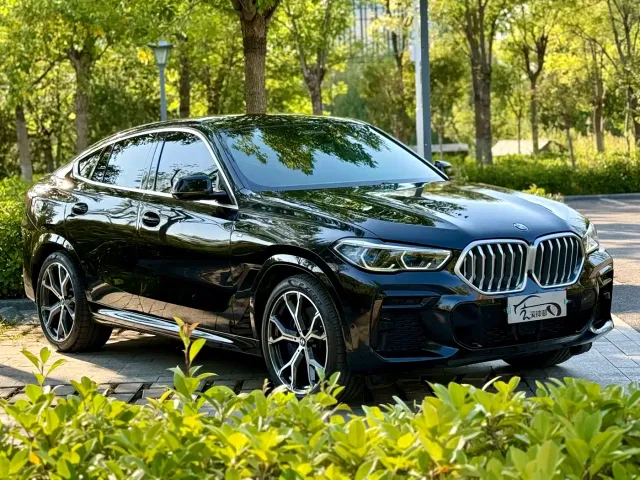BMW X6 — Фото автомобиля 2